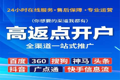 探索SEM推广代运营的奥秘：成功背后的故事