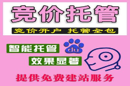 实战技巧：竞价推广案例解析与优化策略